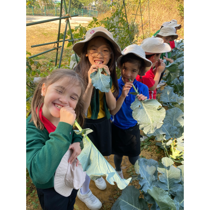 618064330_17988180917931900_7383467351094736397_n