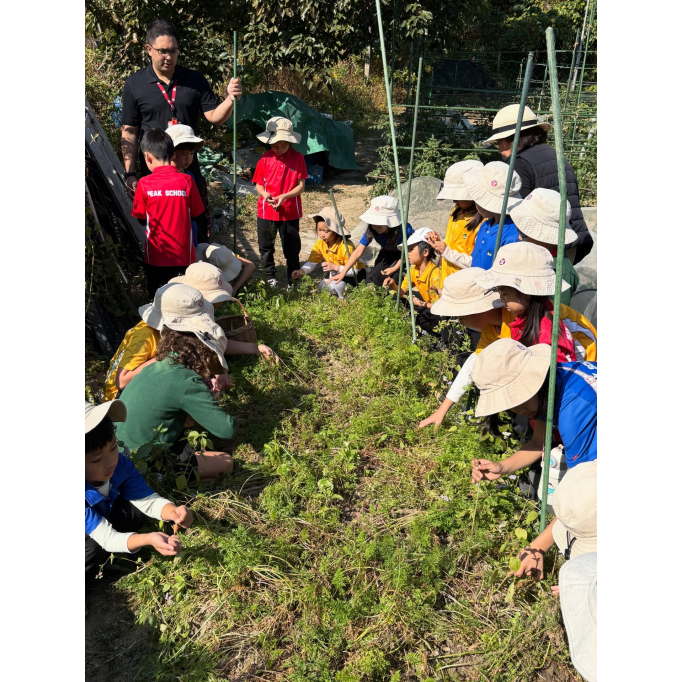 617879695_17988180926931900_2087991796517192728_n