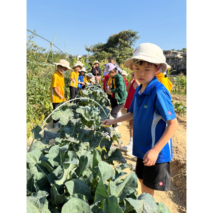 617843484_17988180944931900_5556376815039127275_n